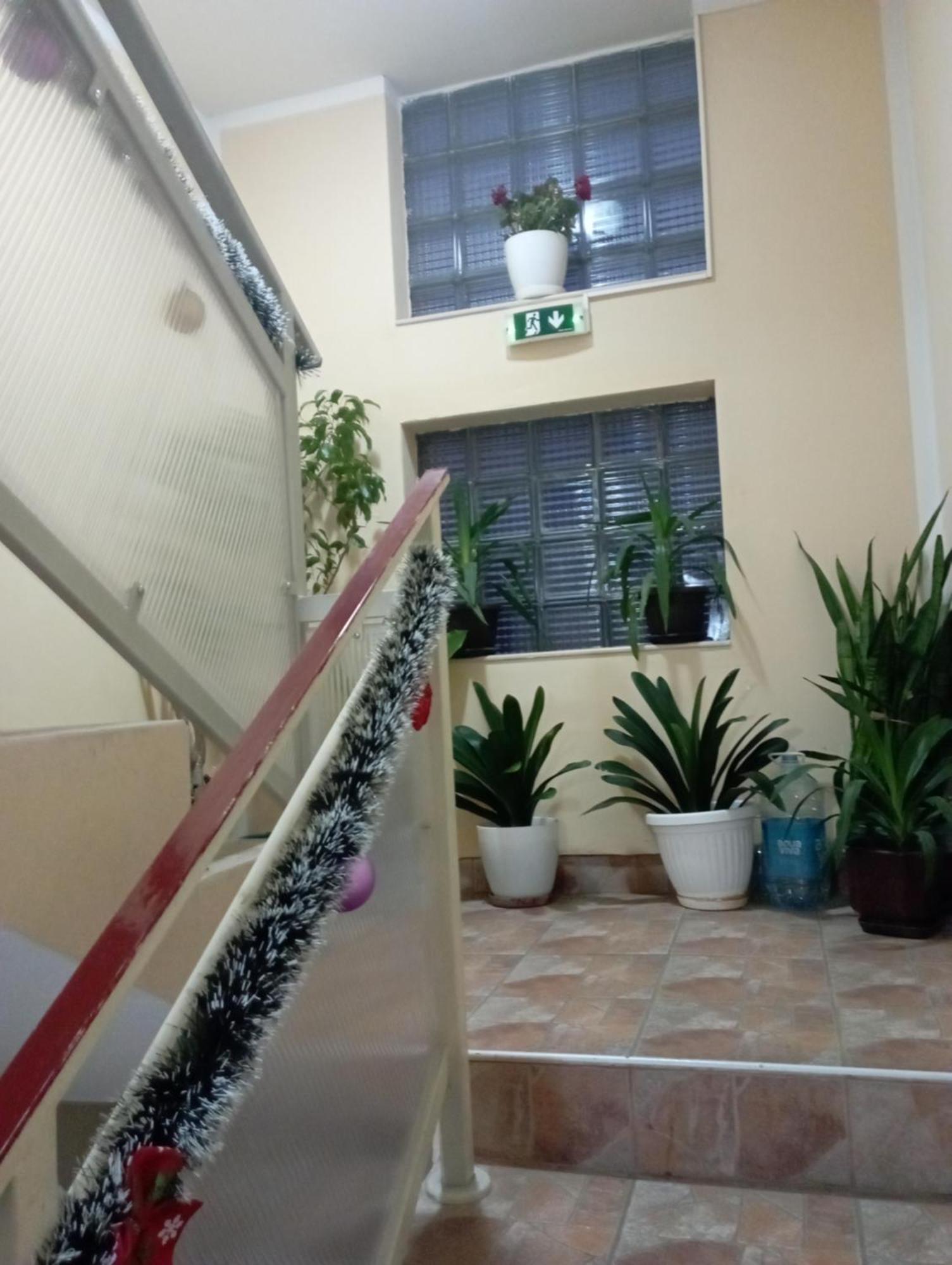 Apartments & Rooms -Mdl Lazic Beograd Eksteriør billede